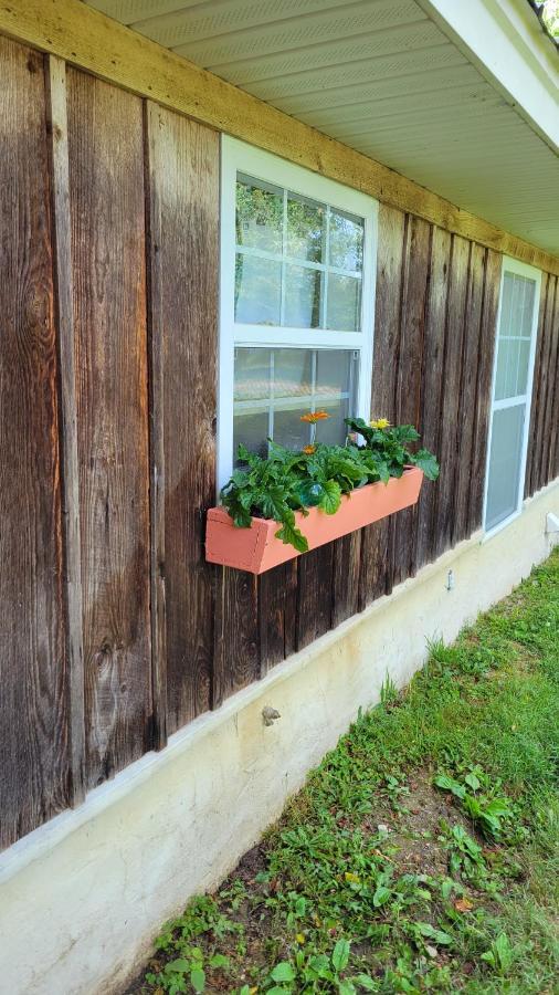 The Little House At Evoo Villa Cookeville Exterior photo